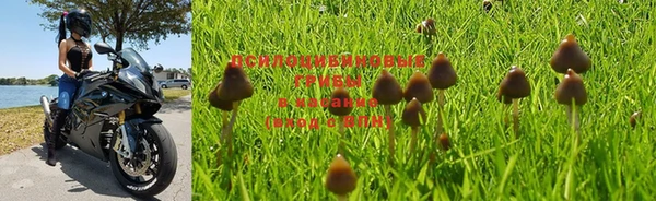 ALPHA-PVP Беломорск