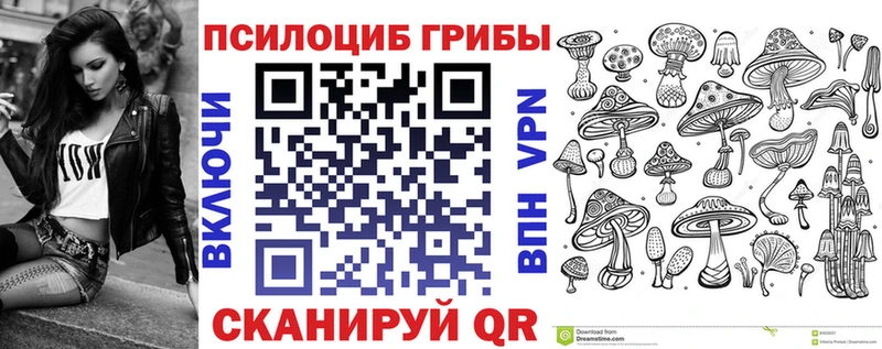 гидра ссылка  Богданович  Галлюциногенные грибы мицелий 