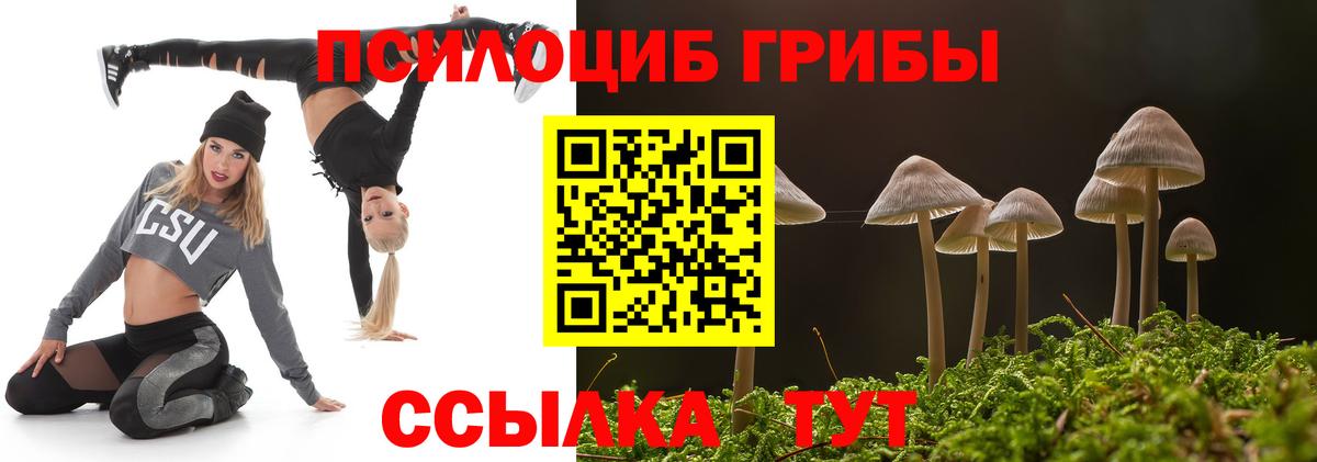Галлюциногенные грибы мицелий Богданович